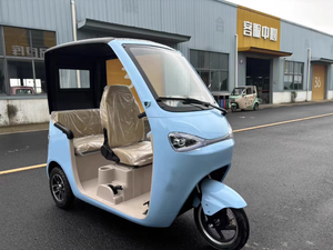Nouveau modèle de mini-tricycle électrique fermé à 3 places, batterie au plomb-acide ou au lithium, scooter de mobilité à trois roues >1000W 400kg sans balais - Product Image 2