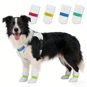 Chaussures jetables pour <span class=keywords><strong>chien</strong></span>, 20 pièces - Protections imperméables pour <span class=keywords><strong>pattes</strong></span> pour la marche en extérieur, soins des blessures et <span class=keywords><strong>protection</strong></span> contre tous les temps - Product Image 1