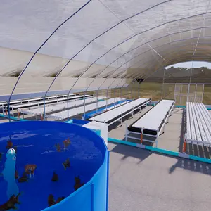 OMANA tek açıklıklı tarımsal seralar aquaponic sebze büyümek kiti