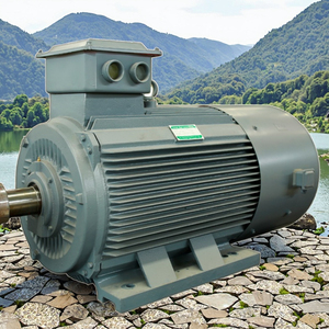 เครื่องกำเนิดแม่เหล็กไฟฟ้ารอบต่ำสำหรับกังหันลมแกนนอน, 3kW 5kW 10kW PMG, เครื่องกำเนิดไฟฟ้าขนาดเล็ก DMWT-5000w พลังงานอิสระ - Product Image 4