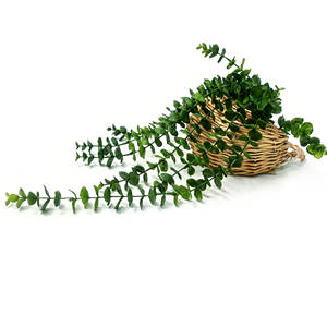 Plante artificielle à 12 brins, plante grimpante douce, panier tressé, plante <span class=keywords><strong>en</strong></span> <span class=keywords><strong>pot</strong></span> d'<span class=keywords><strong>eucalyptus</strong></span> avec faux-sol, plantes vertes à faible entretien - Product Image 4