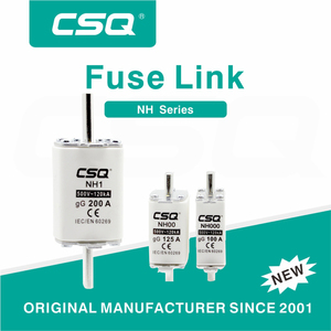 CSQ Nt2 Lv 315A ตัดออก <span class=keywords><strong>Nh</strong></span> Hrc เซรามิก Rt16-00 30A <span class=keywords><strong>Nh2</strong></span> 20A ทองแดง T3ลิงค์ฟิวส์63A 80A 15A - Product Image 2