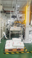 Robot de dépalletisation pour tamis moléculaire, bras robotique, 25 kg/sac, 80 sacs/h, collecte automatique des déchets, PLC, trémie en acier inoxydable, télécommande