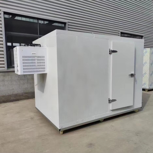 3 tấn hậu cần đơn vị container sử dụng Mini fishmonger tủ đông và phòng lạnh an toàn bàn tay chân thứ hai điện an toàn lưu trữ - Product Image 1