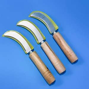 Cuchillos para piña con mango de madera, cuchillos para frutas, cuchillos curvos y cuchillos de cocina al por mayor para tiendas de un o dos yuanes. - Product Image 1