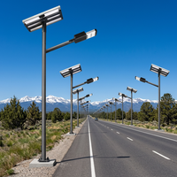 Lampadaire solaire LED IP66 30W 5100LM Angle de faisceau 140° Garantie 3 ans Certifié CE Conforme RoHS Construction en alliage d'aluminium