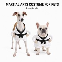 Costume d'Halloween pour chien, style karaté, arts martiaux, ceinture noire de Taekwondo, Kimono blanc, tenue amusante pour animaux de compagnie, pour chiens et chats