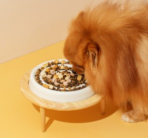 Bol pour chien surélevé en céramique écologique <span class=keywords><strong>de</strong></span> haute qualité, à alimentation lente, avec protection du cou, style luxueux pour une utilisation en intérieur/extérieur - Product Image 4