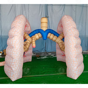 Modelo anatómico <span class=keywords><strong>de</strong></span> pulmón inflable al aire libre, globo publicitario <span class=keywords><strong>de</strong></span> Educación Médica para modelo publicitario inflable al aire libre - Product Image 6