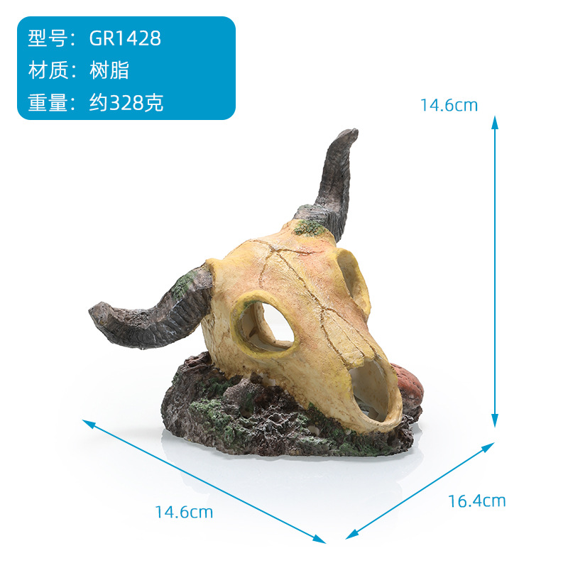 Crâne de bœuf gr1428-27 boîtes par carton