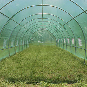 TLSP113 maison type haute tunnel de <span class=keywords><strong>plante</strong></span> d'agriculture étagères <span class=keywords><strong>pour</strong></span> polytunnel greenhouse-36m2 protégé contre les UV - Product Image 4