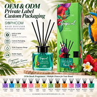 Ensemble diffuseur de parfum à bâtonnets en rotin sous marque privée avec flacon en verre et bâtonnets personnalisés pour collections de parfums d'ambiance en vente au détail