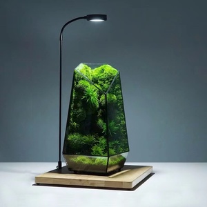 Small <strong>Terrarium</strong> <strong>Kit</strong> for Adults Glass Crystal Bottle - Product Image 4