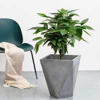 Nordique grand plancher créatif moderne géométrique Simple modélisation Cactus maison Pot de fleur en argile de magnésium