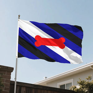 Banderas del Orgullo de 3x5 pies, Colección de más de 20 identidades, incluyendo Bisexual, Asexual, No Binario, <span class=keywords><strong>Bear</strong></span> y Bandera del Arcoíris del Progreso para Desfiles - Product Image 5