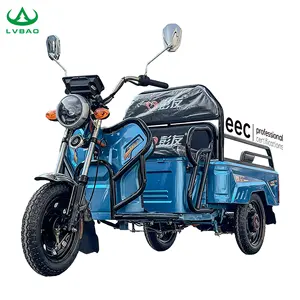 LB-GM110 Charge rapide batterie plomb-acide 3 roues autres tricycles Triciclo Electrico Tricycle électrique aide agricole EEC