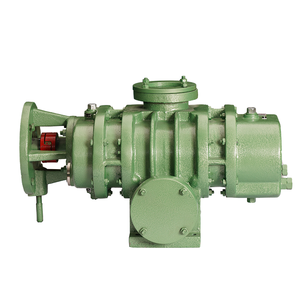 Bomba de vacío de lóbulos rotativos Roots ZJ-150J1 con velocidad de bombeo de 150 L/S, Soplador Roots ZJ-150J1 - Product Image 2