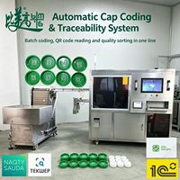 Machine de marquage laser UV à capteur continu pour le marquage des numéros de lot, haute précision et collecte automatique des données en temps réel