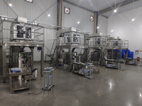 RL520H haute vitesse entièrement automatique 14 têtes peseuse multi-têtes puces verticales Machine d'emballage de sachets à film chaud