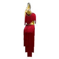 Nouvelle Robe de Danse Latine Professionnelle en Soie avec Franges pour Femme Adulte, Modèle 286jh, Collection 2026, Idéale pour Compétitions et Performances sur Scène