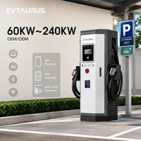 Nueva Estación de Carga Rápida para Vehículos Eléctricos Comerciales de Alta Eficiencia, Idioma Personalizable, CCS GBT CHAdeMO 60-240KW, Cargador EV de Suelo Dlb
