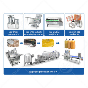 High Quality Automatic Egg Grading Process Line Scale Grader <strong>Mini</strong> Sorter Egg <strong>Machine</strong> - Product Image 5