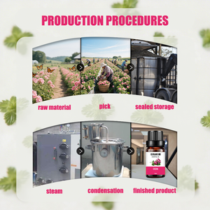 Puro olio di geranio assoluto lussuosa <span class=keywords><strong>profumeria</strong></span> e Skincare100 % naturale geranio aromaterapia assoluta e cura della bellezza - Product Image 4