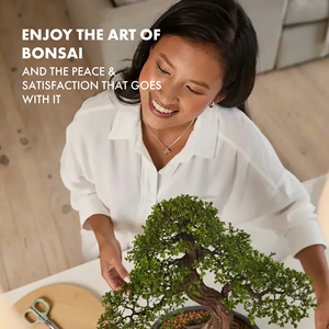 Kit <span class=keywords><strong>per</strong></span> Coltivazione Bonsai con Telaio in Metallo Verniciato a Polvere e Schermo Opzionale <span class=keywords><strong>per</strong></span> Patio, Giardino e Pergola Esterna - Product Image 2