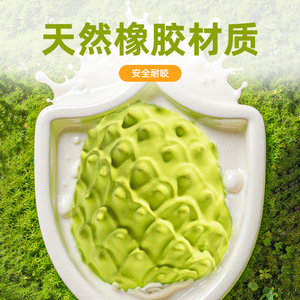 ของเล่นเคี้ยวรูปผลไม้สีเขียวขนาดกลางสำหรับสุนัข ช่วยทำความสะอาดฟัน - Product Image 3
