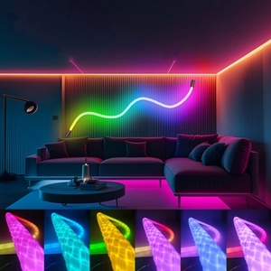 Tubo de Neón LED de Silicona RGBIC de 360 Grados con Cambio de Color, Luces de Tira y Cuerda, Certificación CE, Control por Aplicación para Uso en Interiores - Product Image 2