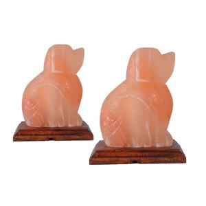 Lampe à Sel Originale en Forme de Chien de l'Himalaya Décoration Sculptée sur le Thème Animal Feng Shui par Sian Enterprises - Product Image 1