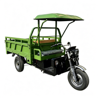 Tricycle électrique robuste avec moteur 5000W, boîte de vitesses mécanique et frein hydraulique pour la livraison de marchandises par tous les temps