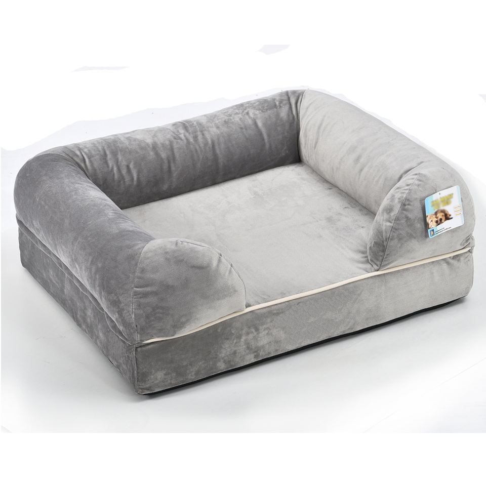 leash and collar leash and collar