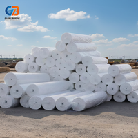 Géotextile en PET à longs fibres non tissées, résistant aux perforations (plus de 2,5 kN CBR), utilisé pour le drainage souterrain et la séparation des couches de sol dans les pavés.
