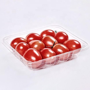 Disposable Blister Plastic PET Food Tray
