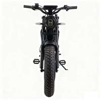Vélo Électrique Tout-Terrain 750W Sans Balais, Design Rétro, Pneus Larges, Batterie au Lithium, Vente en Gros OEM/ODM, Meilleure Vente, pour Distributeurs