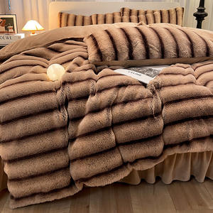 Herfst Winter Fluweel Beddengoed Set Nieuw Modern Vierdelig Konijnenmelk Fluweel Groothandel Plus Warm Verdikt Fluweel Beddengoed - Product Image 3
