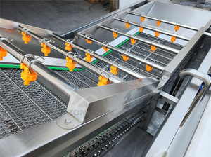 Hot Sale <strong>Vegetable</strong>/Fruits/Mushroom <strong>Production</strong> SUS 304 Material Bubble Washing/Cleaning Line - Product Image 6