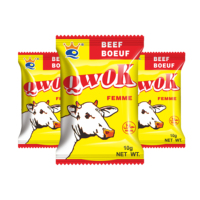 Assaisonnement Halal en poudre 10g pour bouillon de bœuf séché, saveur naturelle, best-seller, personnalisable, le favori des chefs