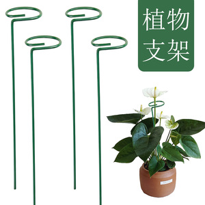 Poteaux de soutien pour plantes grimpantes, 40 cm, vert, en fer revêtu, pour jardinage domestique, supports de fleurs sur pied - Product Image 1