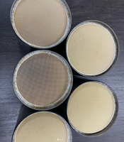 Pièces de rechange de moteur Diesel de camion de haute qualité convertisseur catalytique DOC DPF filtre à particules Diesel nettoyage filtre dpf