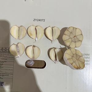 Ajo Blanco Fresco de Primera Calidad, Grado A, Sabor <span class=keywords><strong>Picante</strong></span> Intenso, Alto Rendimiento, Secado al Aire, Jinxiang, Shandong, China, Venta al Por Mayor - Product Image 4