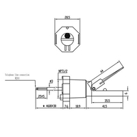 Palette de contact magnétique en plastique, capteur magnétique à effet hall d'eau, interrupteur de débit, capteur prix pour chlorateur de sel