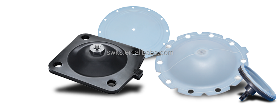 OEM 5 DIAPHRAGM