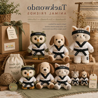 Ensemble de peluches personnalisées Taekwondo, hibou, chat, chien, avec porte-clés, pour mascotte d'école d'arts martiaux et cadeau pour enfants