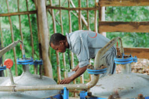 น้ำมันบำรุงระบบหายใจธรรมชาติ SAKAY ผสมน้ำมันนีอูลีจากมาดากัสการ์ สำหรับการสูดดมและนวดหน้าอก อายุการเก็บรักษา 3 ปี - Product Image 6