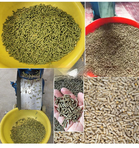 Pièces de rechange de haute qualité pour granulateur d'aliments pour animaux, moulin <span class=keywords><strong>à</strong></span> rouleaux, diverses matrices de moulin, machine <span class=keywords><strong>à</strong></span> granulés pour animaux, 120 kg/h - Product Image 4