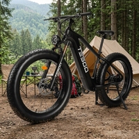 Nouveau Vélo Électrique 48V 1000W à Cadre en Fibre de Carbone, 9 Vitesses, Autonomie de 60km, Batterie Lithium Longue Portée, E-bike Pas Cher