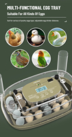 WONEGG 24-48 tourneur automatique petit incubateur d'oeufs de volaille en plein air couveuse couveuse d'oeufs de caille