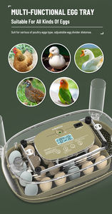 WONEGG 24-48 tourneur automatique petit incubateur d'oeufs de volaille en plein air <span class=keywords><strong>couveuse</strong></span> <span class=keywords><strong>couveuse</strong></span> d'oeufs de caille - Product Image 5